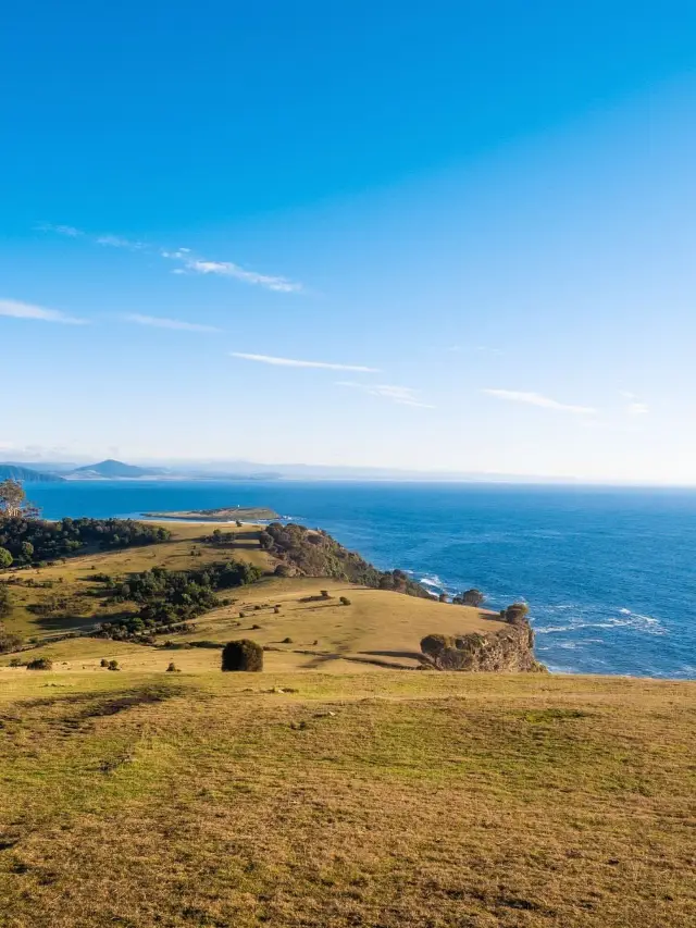 6日間のオーストラリア春の旅 春の光を満喫