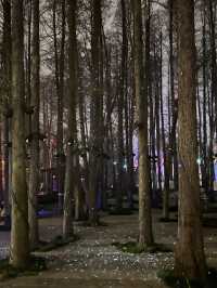 🌸東湖櫻園最新實況！無濾鏡live圖超