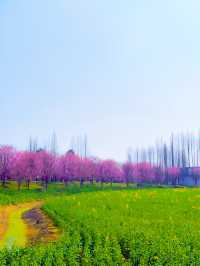 三生三世十里桃花園，現實走走一次吧 