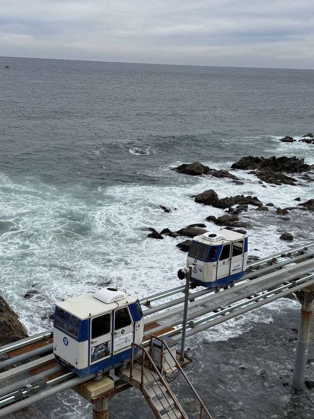 蔚珍郡空中列車：遨遊蔚藍海岸，盡享夢幻海景之旅！