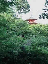 2日日本遊 讓你驚艷的地方在這裡