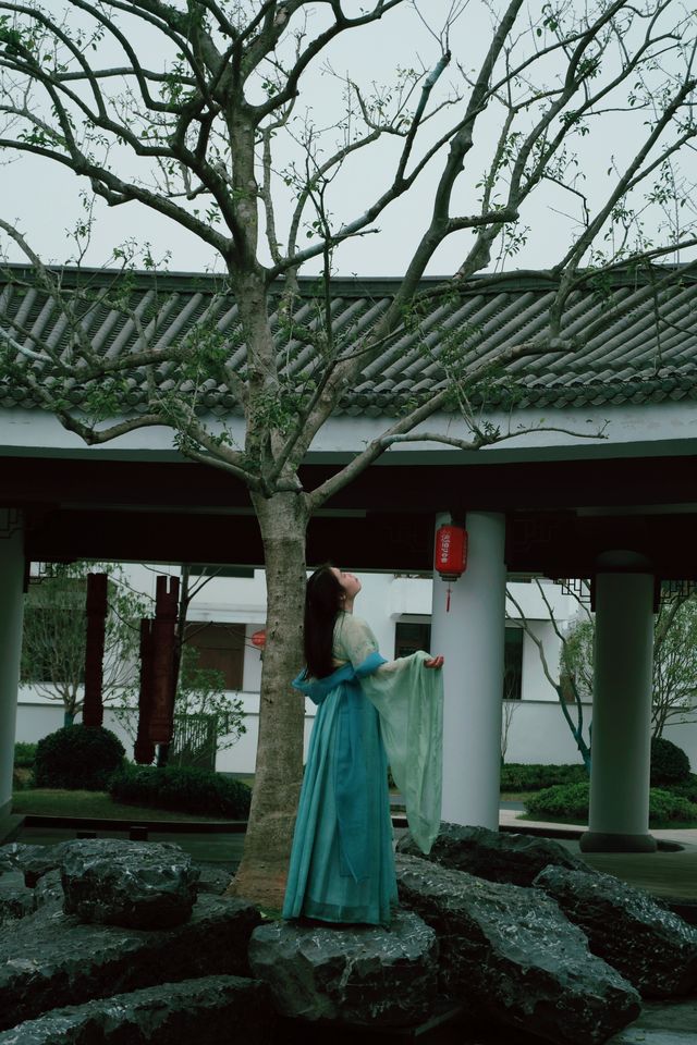 春日限定美好—油菜花