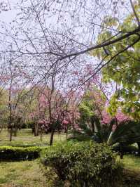雲南大理三塔寺