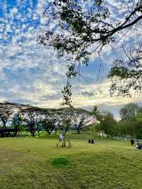花影流轉——班嘉詩麗皇后公園與四面佛之旅