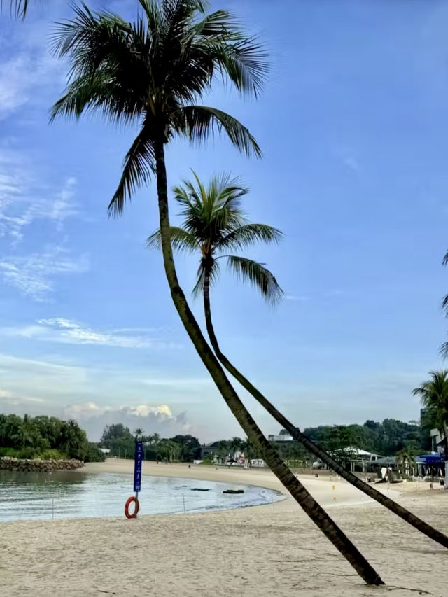 靜謐南洋：巴拉灣海灘的陽光詩篇