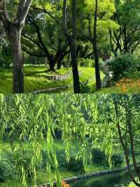 又一個小眾打卡點：北塢公園