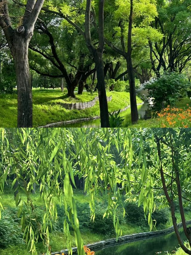 又一個小眾打卡點：北塢公園