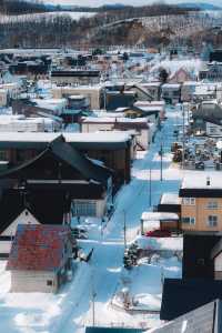 美瑛｜我願稱之為最北海道的城市 慢節奏
