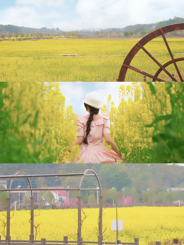 長沙版「喜洲」，我在湘峰油菜花海等你