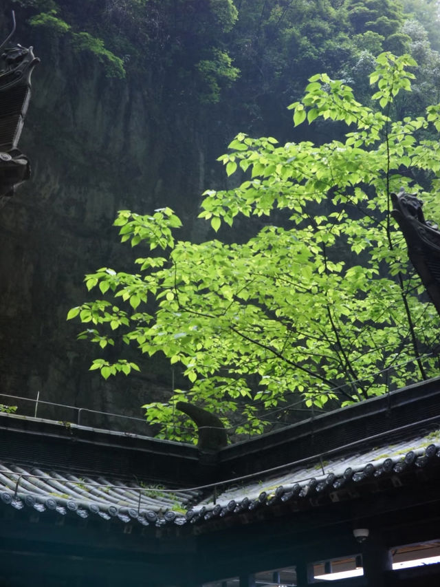 🌍 武隆天坑超全攻略｜闖入《變形金剛》異星秘境📸  