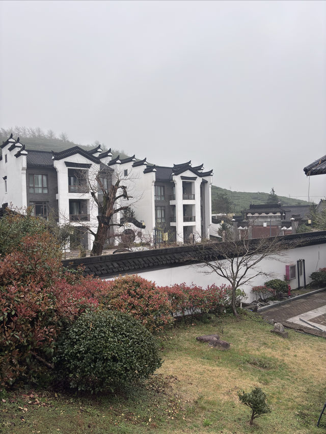 臨海這間寶藏住宿，99%遊客收藏