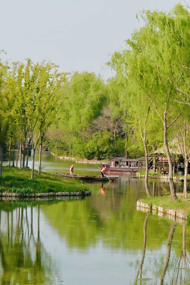 週末去班味的（2/50）個城市泰州兩日遊