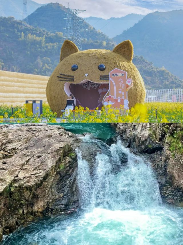 台州嘅春天，真係贏到開巷。