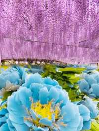 隋唐遺夢處瀲灩九州池