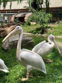 長春動植物園·西游記主題公園