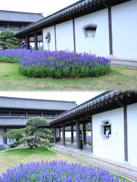 新廣州文化館