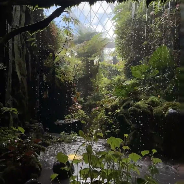 🇸🇬新加坡濱海灣花園保姆級行程｜沉浸式擁抱自然與科幻感💫