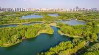 初遊虎丘濕地公園