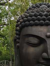 Hangzhou Botanical Garden 🪴 🌿