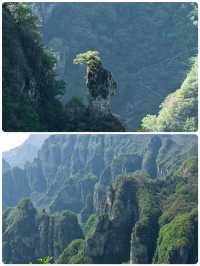雲端暴走！王莽嶺掛壁奇遇之旅