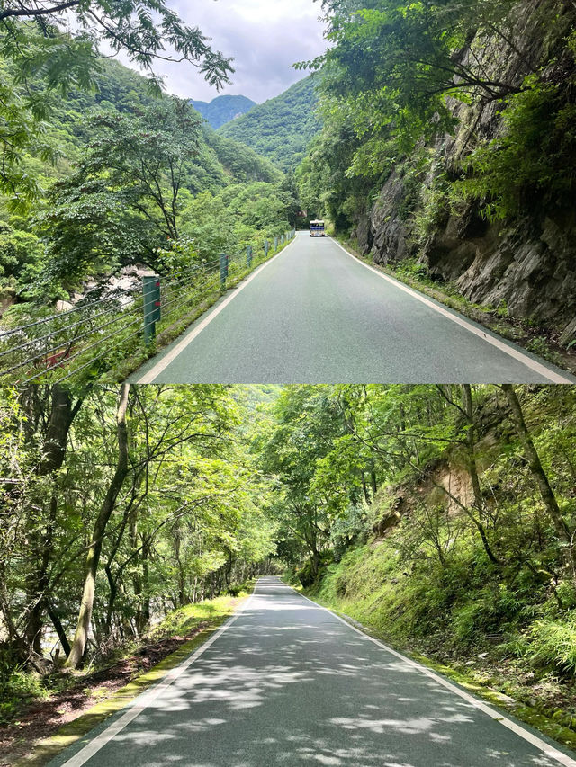 唐家河