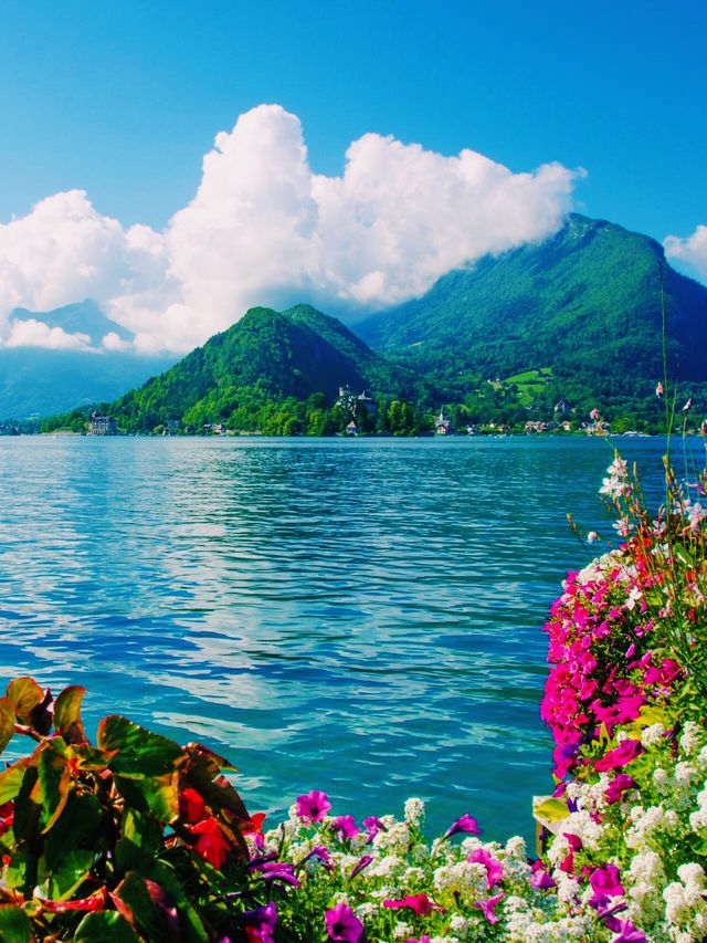 佛山高明區美的鷺湖旅遊攻略