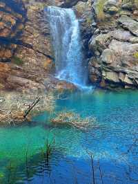 廬山旅遊攻略：探尋詩意棲居，盡享山水之樂