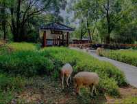 龍岩，一場治癒心靈嘅旅行