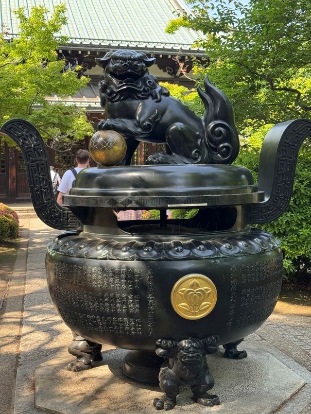 東京豪德寺交通全攻略：尋訪「招財貓故鄉」的清幽路徑 