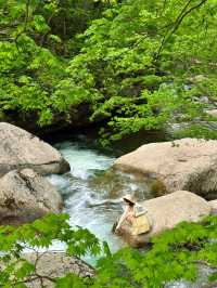 瀋陽周邊遊|搵到通往杜鵑花海嘅山間小路