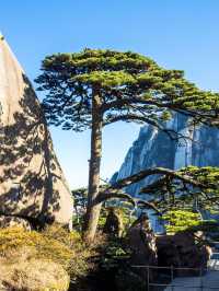 暑假小長假～黃山3日暢遊不踩雷攻略