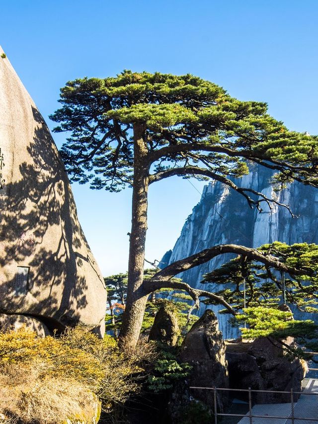 暑假小長假～黃山3日暢遊不踩雷攻略