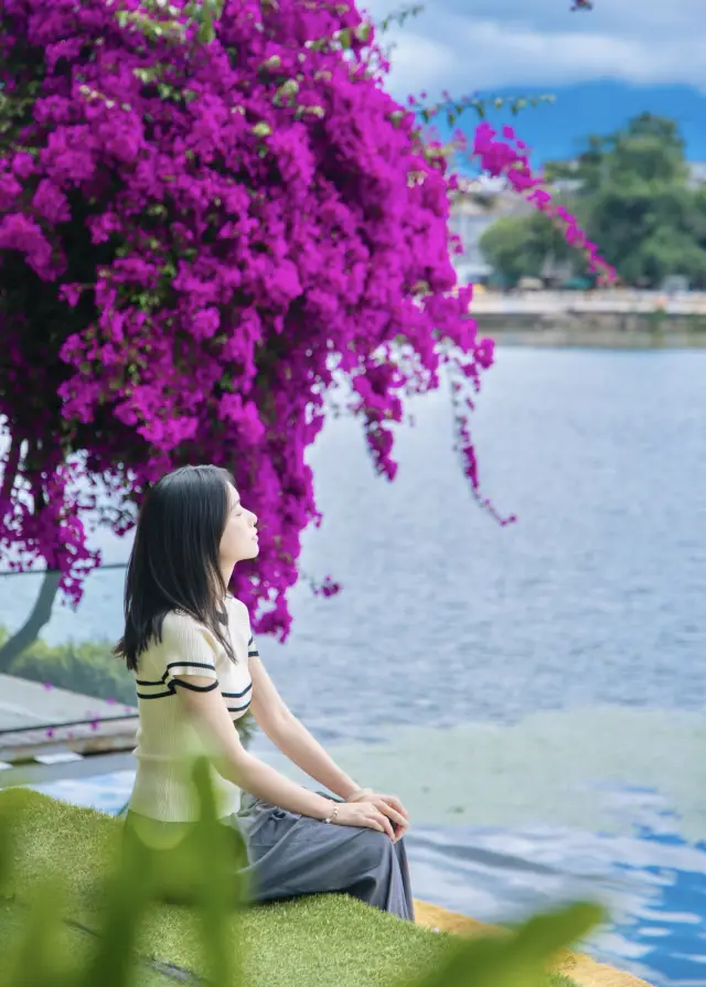 夏日寶藏度假目的地大理洱海畔嘅避世秘境