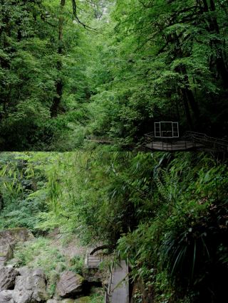Longcanggou Diecui Valley | A Poetic Hidden Gem Nestled in the Mountains