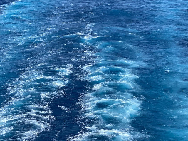 鼓浪嶼號後遺症！！