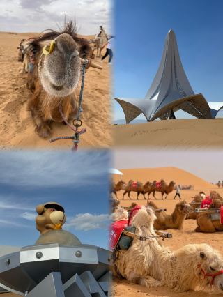 No one is allowed to miss this Shapotou travel guide