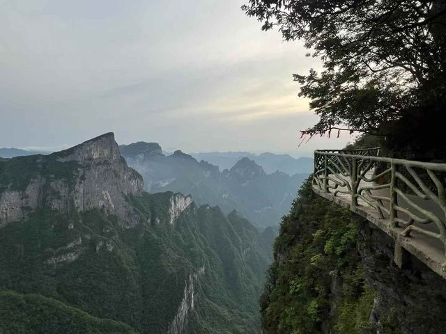 小小天門山輕鬆玩轉🫰