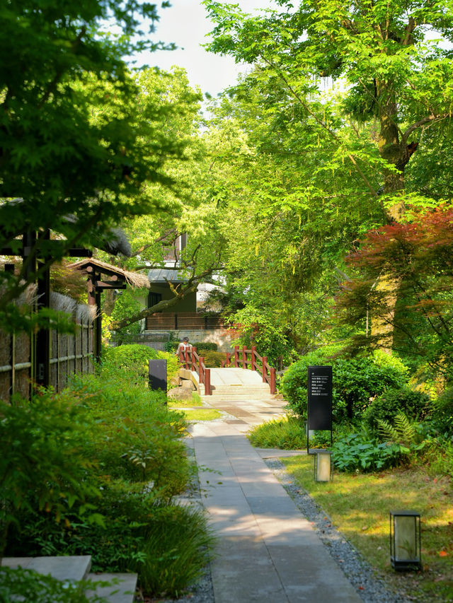 凡雲西溪｜江南島居，靜待西溪濕地的悠長夏日