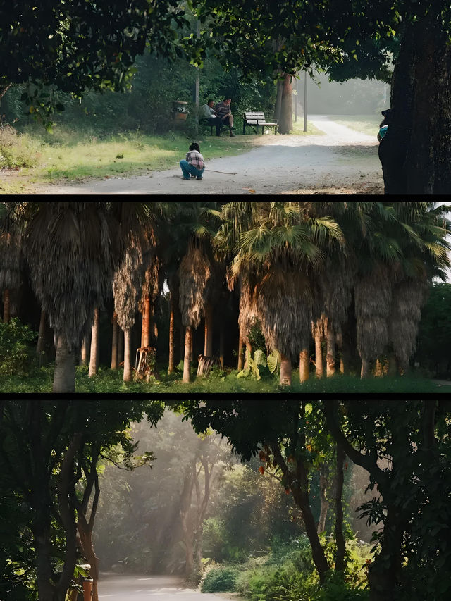 漳州龍文郊野公園：城市中的大自然