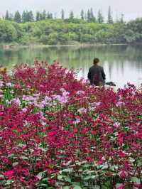 Some places are too peaceful to be famous: Discover a Hidden Gem 40 min from Yiwu
