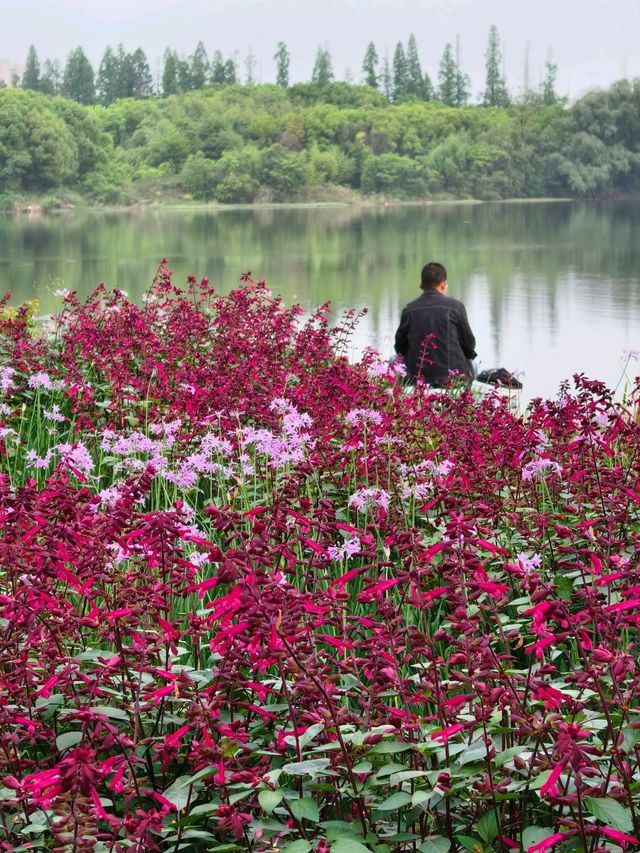 Some places are too peaceful to be famous: Discover a Hidden Gem 40 min from Yiwu