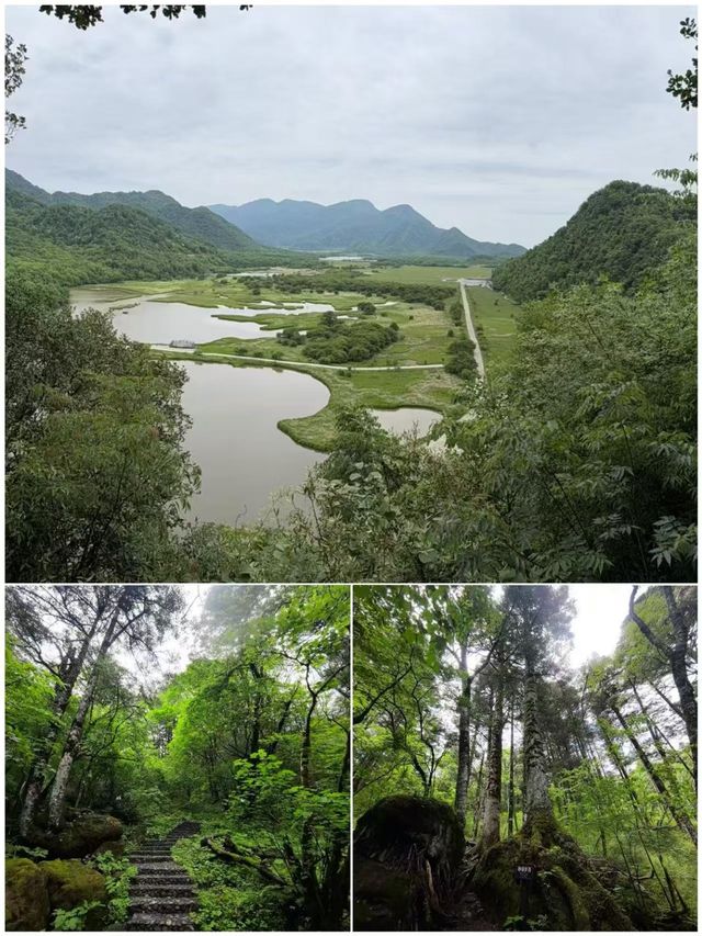 啱啱從神農架返嚟，講啲真心話