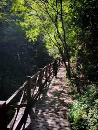## 逃離40℃！貴州六盤水親子避暑秘境，19℃嘅夏天太犯規啦！  熱浪灼人？冷氣房困獸？今個夏天