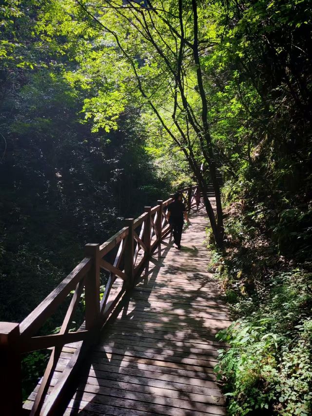 ## 逃離40℃！貴州六盤水親子避暑秘境，19℃嘅夏天太犯規啦！  熱浪灼人？冷氣房困獸？今個夏天