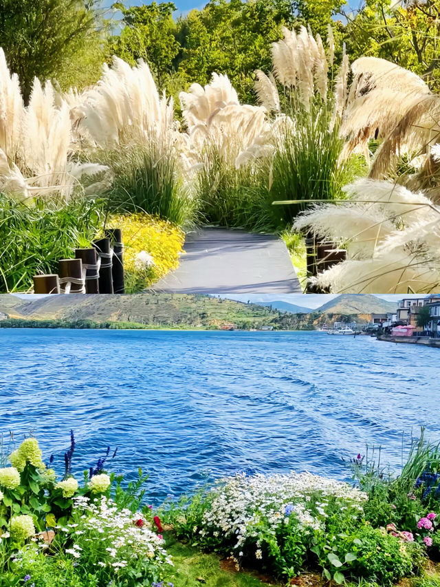 千祈唔好畀父母嚟洱海，否則佢哋會影爆你手機所有記憶體