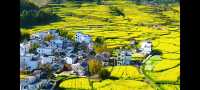 邂逅篁嶺，赴一場夢幻的田園之約   踏入篁嶺，彷彿穿越時空，走進了一幅被歲月珍藏的江南畫卷。連綿的山