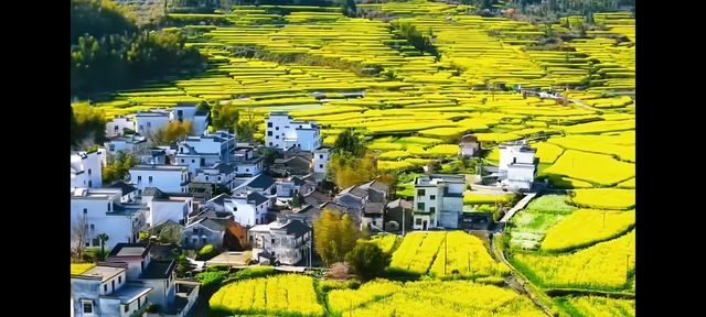 邂逅篁嶺，赴一場夢幻的田園之約   踏入篁嶺，彷彿穿越時空，走進了一幅被歲月珍藏的江南畫卷。連綿的山