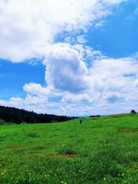 朗目山，曲靖嘅「阿勒泰」