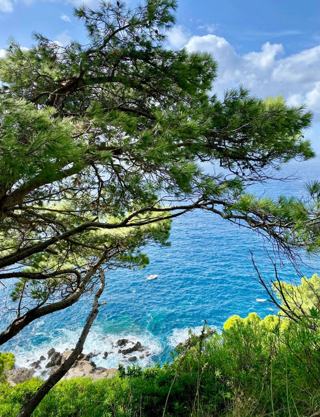 誤入老錢度假天堂卡普里島體驗報告