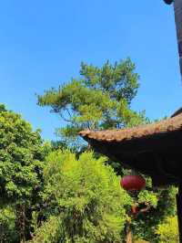清暉園遊玩全攻略